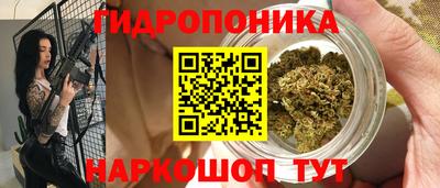 мдпв Дубна
