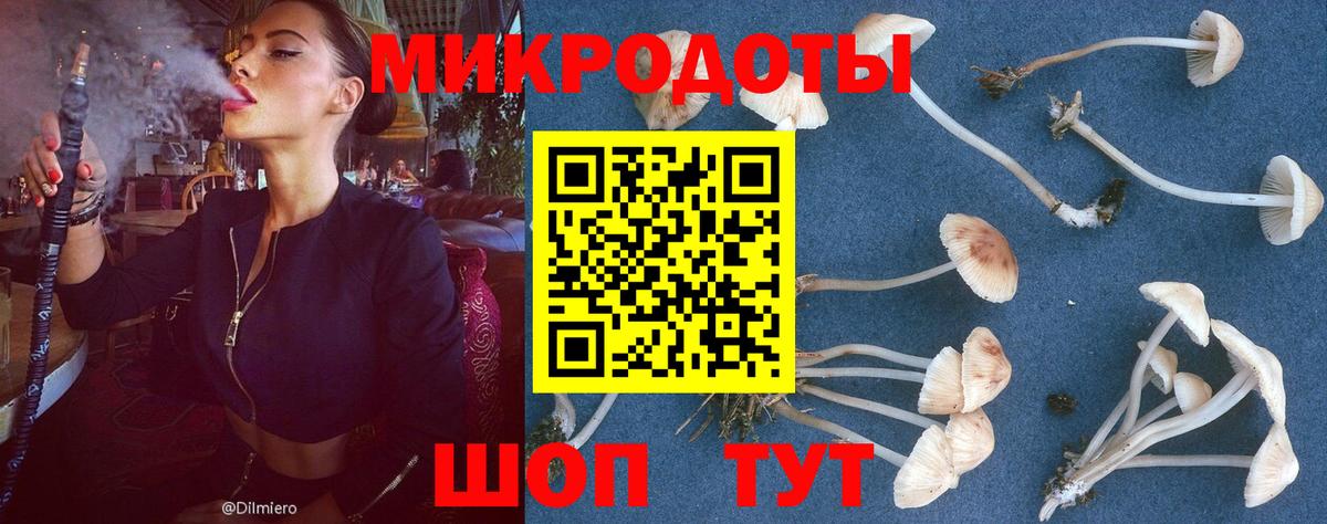 Псилоцибиновые грибы GOLDEN TEACHER  Вход с VPN  Мурманск 