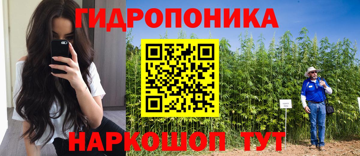 Конопля марихуана Мурманск
